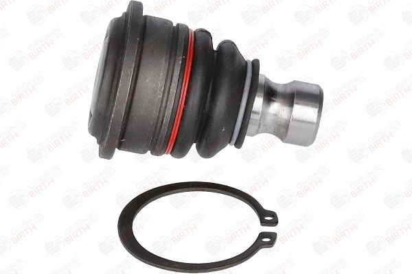 Šarnyras / girgždukas BIRTH CX9241