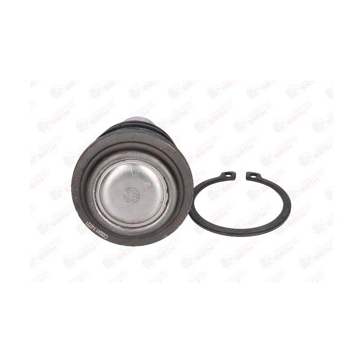 Šarnyras / girgždukas BIRTH CX9241