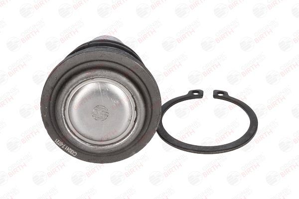 Šarnyras / girgždukas BIRTH CX9241