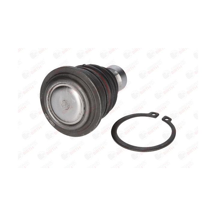 Šarnyras / girgždukas BIRTH CX9241