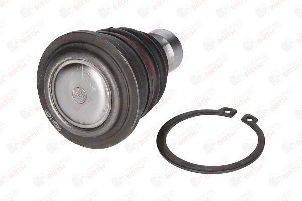 Šarnyras / girgždukas BIRTH CX9241