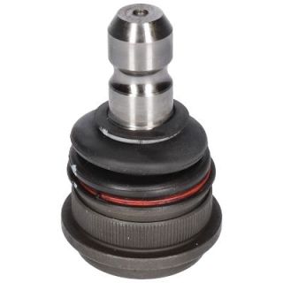 Šarnyras / girgždukas BIRTH CX9247