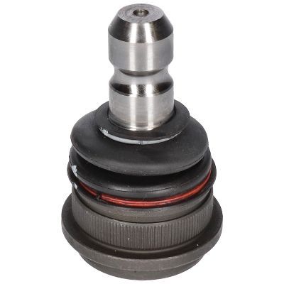 Šarnyras / girgždukas BIRTH CX9247