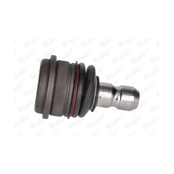 Šarnyras / girgždukas BIRTH CX9247