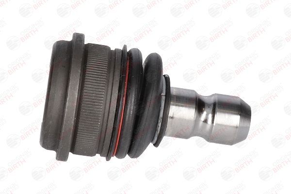 Šarnyras / girgždukas BIRTH CX9247