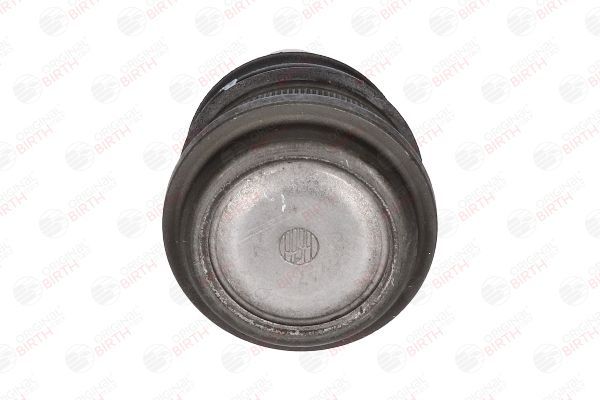 Šarnyras / girgždukas BIRTH CX9247