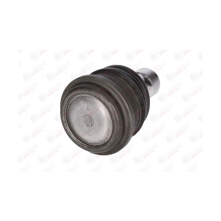 Šarnyras / girgždukas BIRTH CX9247