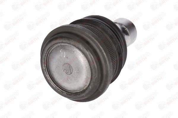 Šarnyras / girgždukas BIRTH CX9247