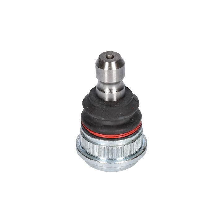 Šarnyras / girgždukas BIRTH CX9252