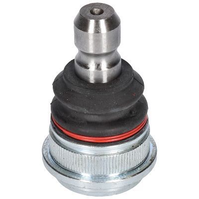 Šarnyras / girgždukas BIRTH CX9252