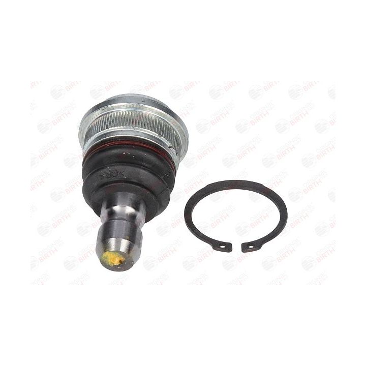 Šarnyras / girgždukas BIRTH CX9252