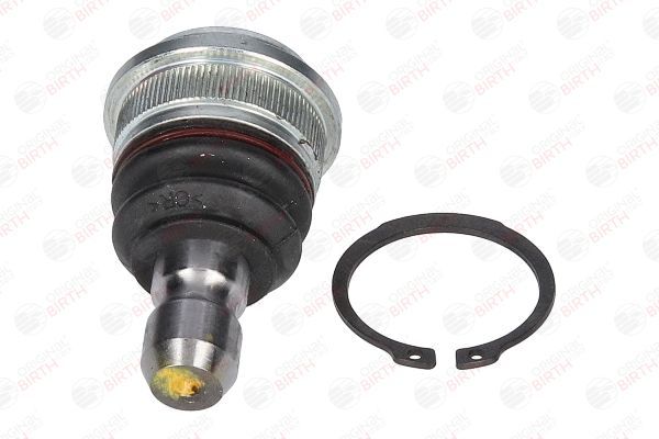 Šarnyras / girgždukas BIRTH CX9252