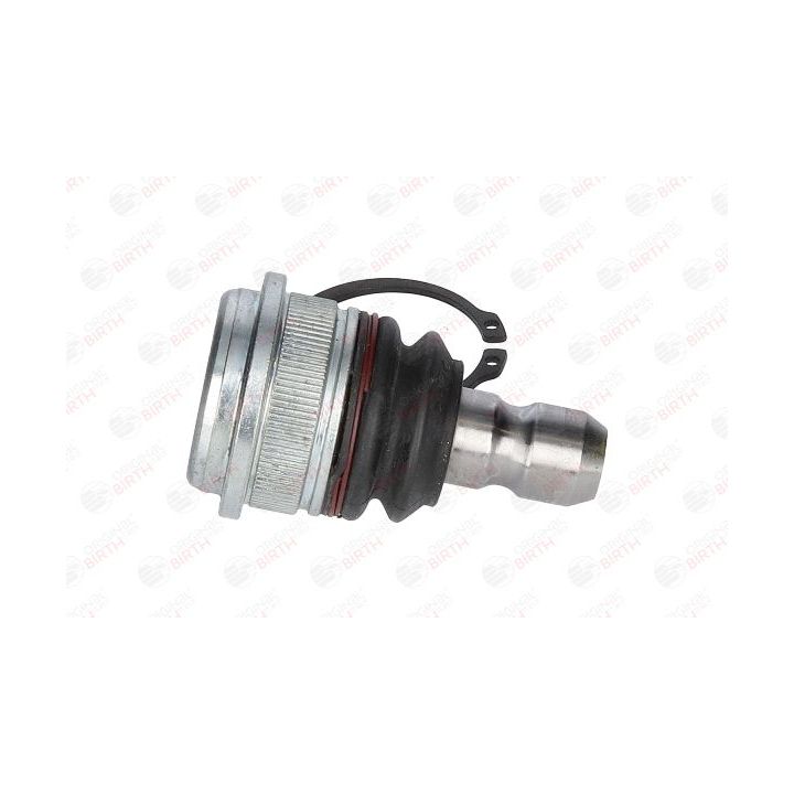 Šarnyras / girgždukas BIRTH CX9252