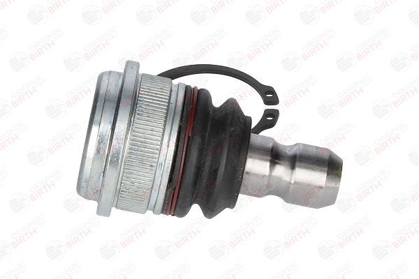 Šarnyras / girgždukas BIRTH CX9252