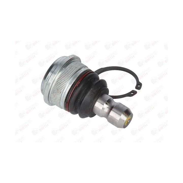 Šarnyras / girgždukas BIRTH CX9252