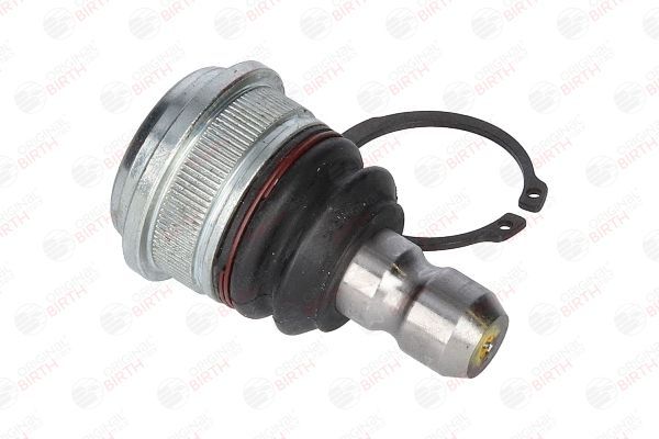 Šarnyras / girgždukas BIRTH CX9252