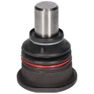 Šarnyras / girgždukas BIRTH CX9256