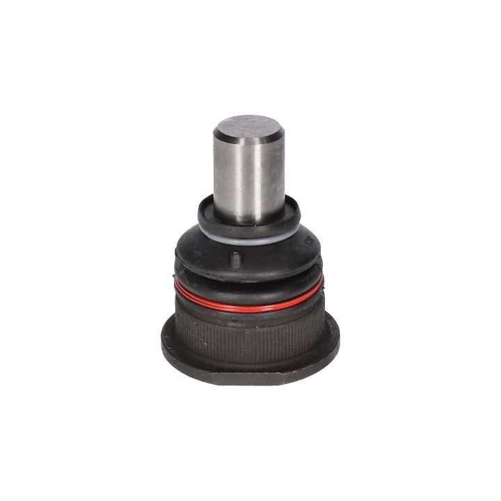 Šarnyras / girgždukas BIRTH CX9256