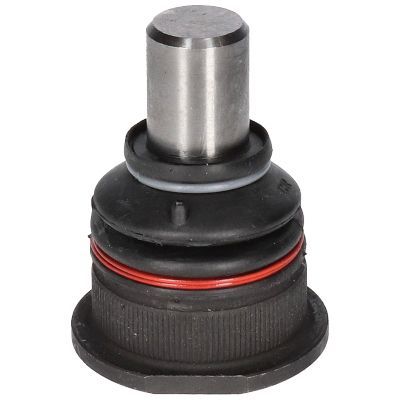 Šarnyras / girgždukas BIRTH CX9256