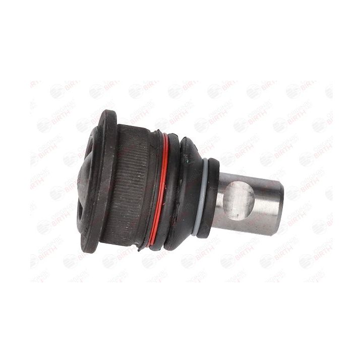 Šarnyras / girgždukas BIRTH CX9256