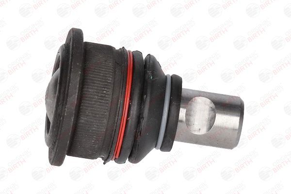 Šarnyras / girgždukas BIRTH CX9256