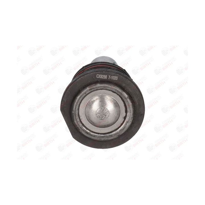 Šarnyras / girgždukas BIRTH CX9256