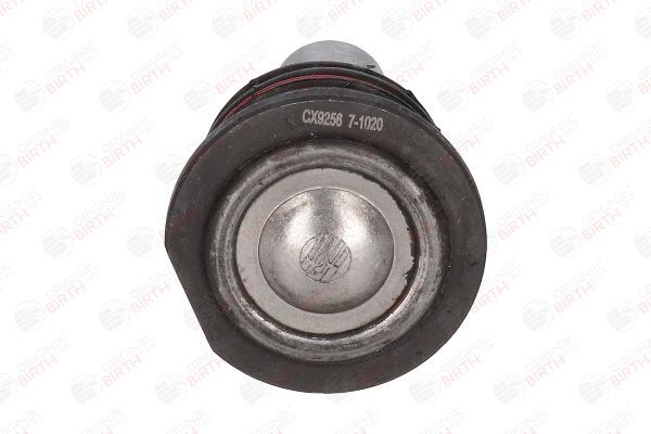 Šarnyras / girgždukas BIRTH CX9256