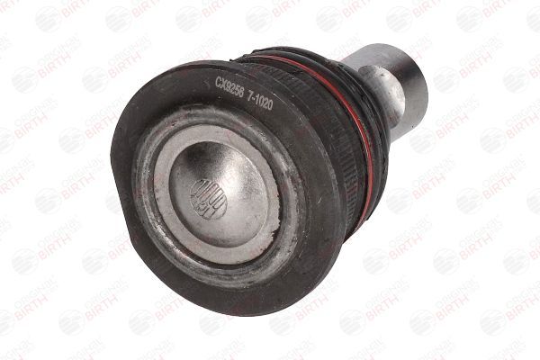 Šarnyras / girgždukas BIRTH CX9256