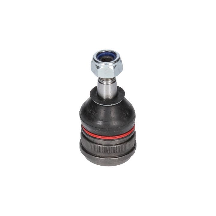 Šarnyras / girgždukas BIRTH CX9264