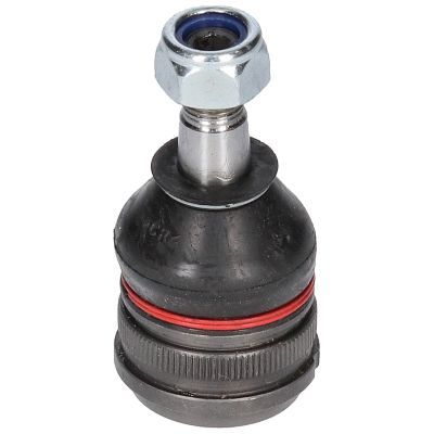 Šarnyras / girgždukas BIRTH CX9264