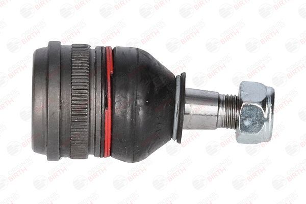 Šarnyras / girgždukas BIRTH CX9264