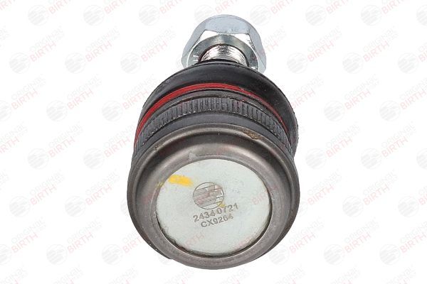 Šarnyras / girgždukas BIRTH CX9264