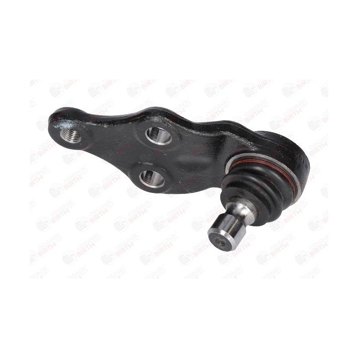 Šarnyras / girgždukas BIRTH CX9267