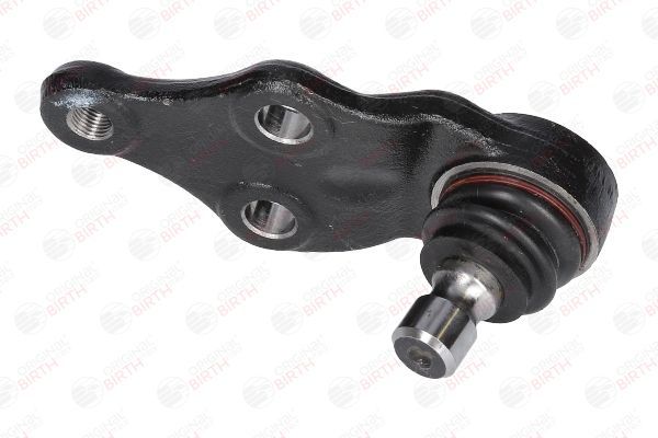 Šarnyras / girgždukas BIRTH CX9267