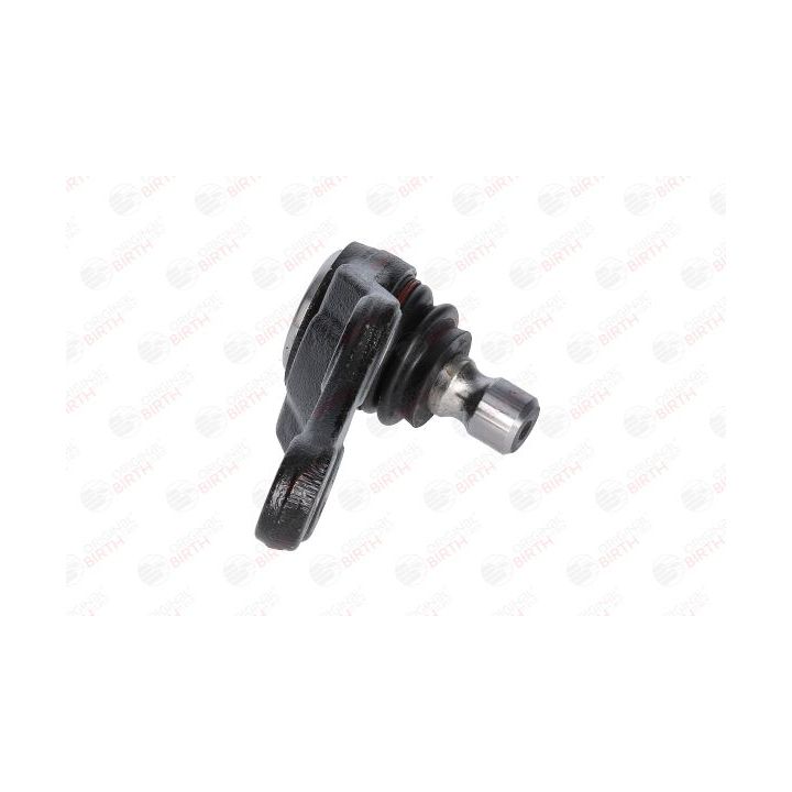 Šarnyras / girgždukas BIRTH CX9267