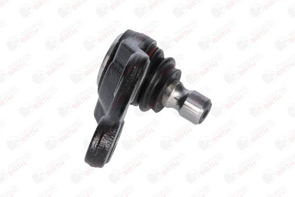 Šarnyras / girgždukas BIRTH CX9267