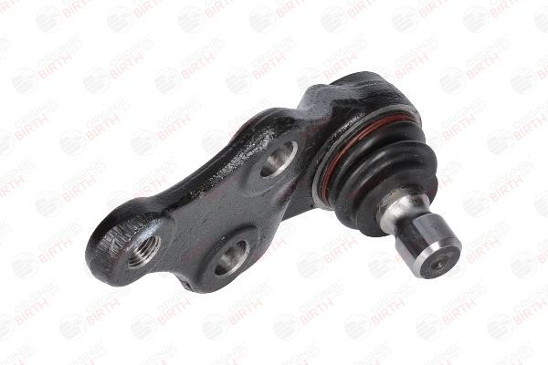 Šarnyras / girgždukas BIRTH CX9267