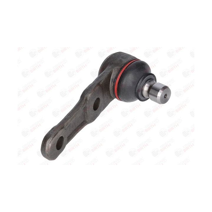 Šarnyras / girgždukas BIRTH CX9270