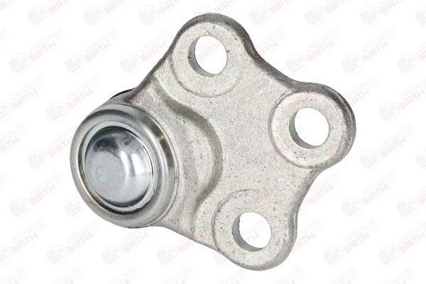 Šarnyras / girgždukas BIRTH CX9272