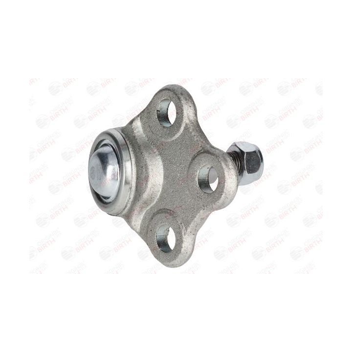 Šarnyras / girgždukas BIRTH CX9272