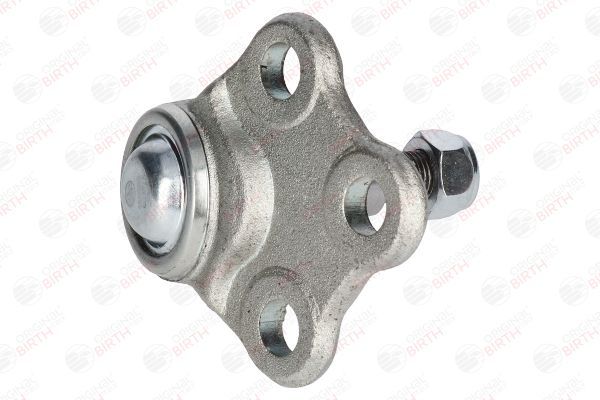 Šarnyras / girgždukas BIRTH CX9272