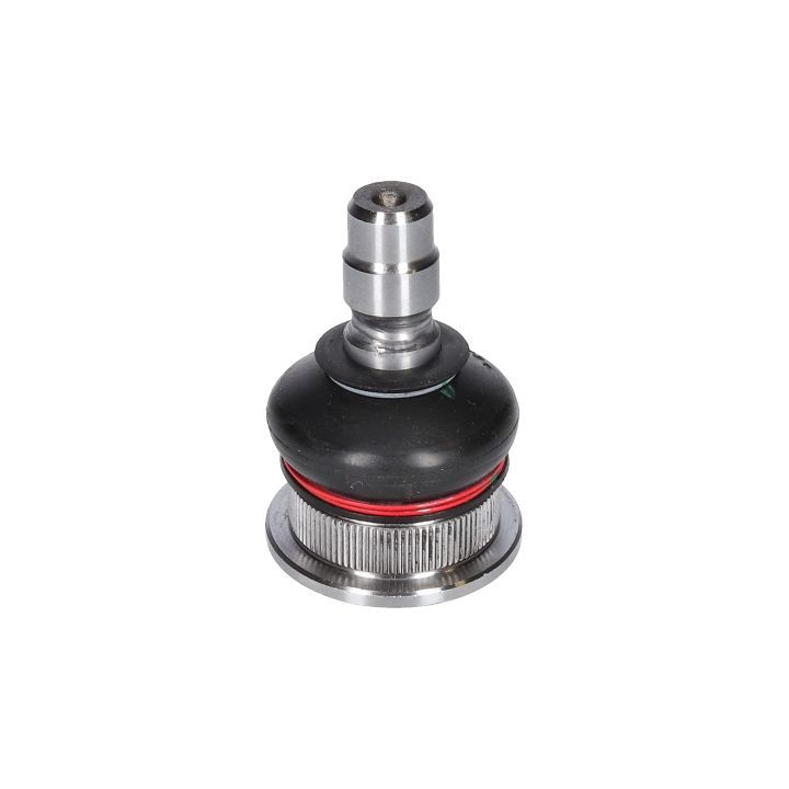 Šarnyras / girgždukas BIRTH CX9273