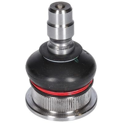 Šarnyras / girgždukas BIRTH CX9273