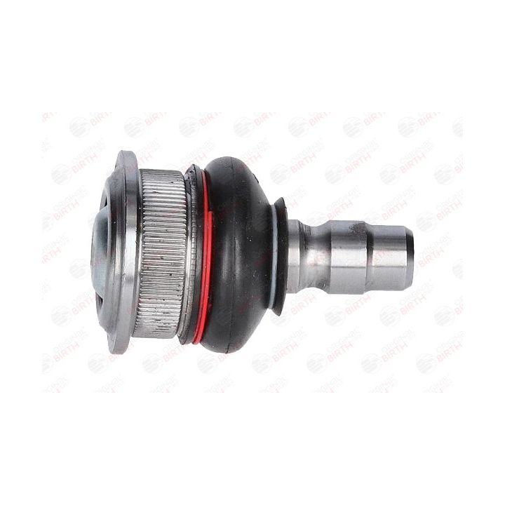 Šarnyras / girgždukas BIRTH CX9273