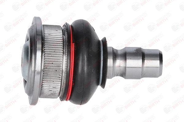 Šarnyras / girgždukas BIRTH CX9273