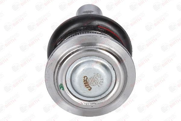 Šarnyras / girgždukas BIRTH CX9273