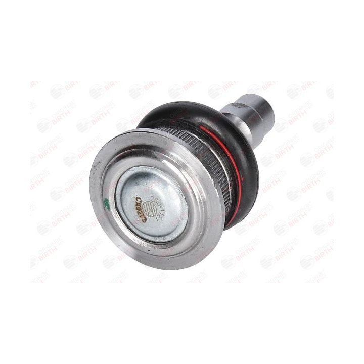 Šarnyras / girgždukas BIRTH CX9273