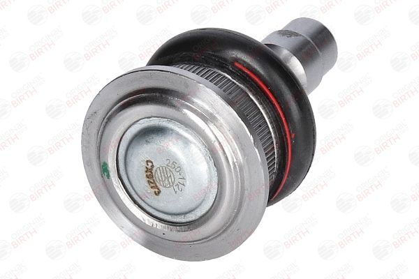 Šarnyras / girgždukas BIRTH CX9273