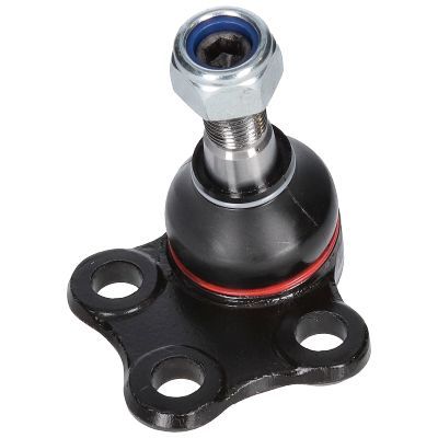 Šarnyras / girgždukas BIRTH CX9289