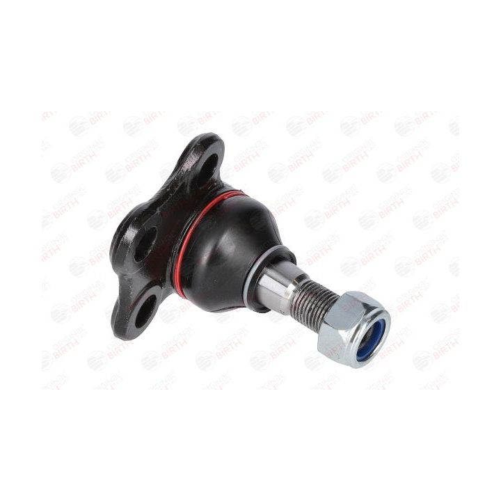 Šarnyras / girgždukas BIRTH CX9289